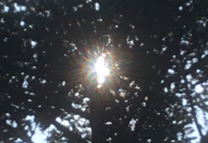 photobook_7_坐禅する旅の僧