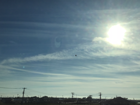 ネッシーが鳳凰に